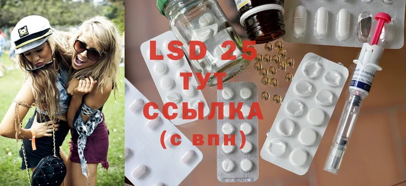 что такое   Грозный  Лсд 25 экстази ecstasy 